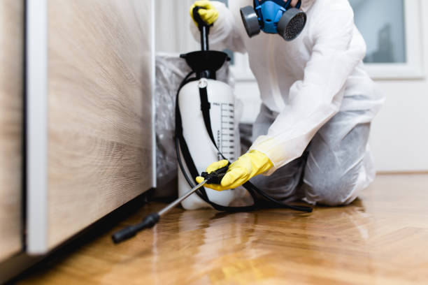 Best Best Pest Control Companies  in Traverse City, MI