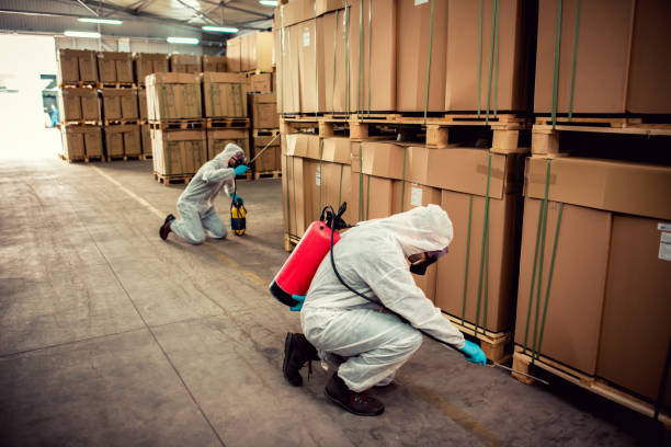Best Bed Bug Extermination  in Traverse City, MI