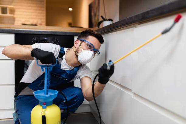 Professional Pest Control in Traverse City, MI