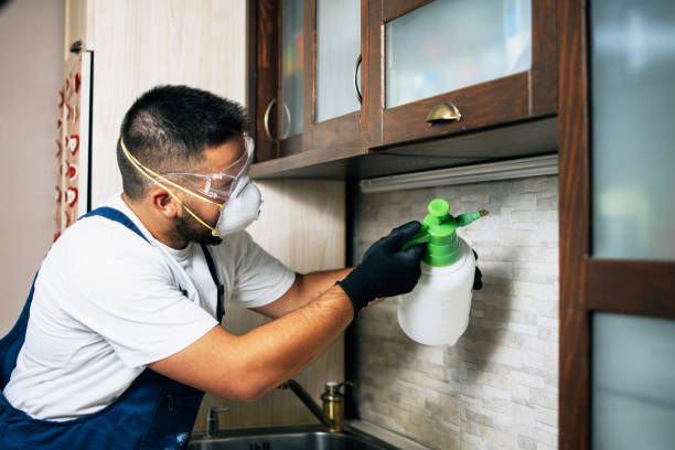 Best Affordable Pest Control Services  in Traverse City, MI