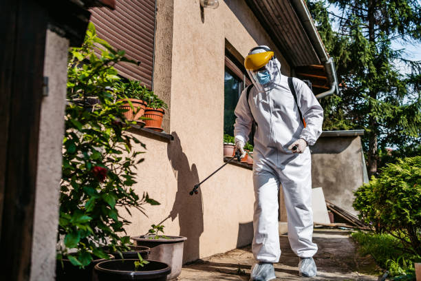 Best Bed Bug Extermination  in Traverse City, MI