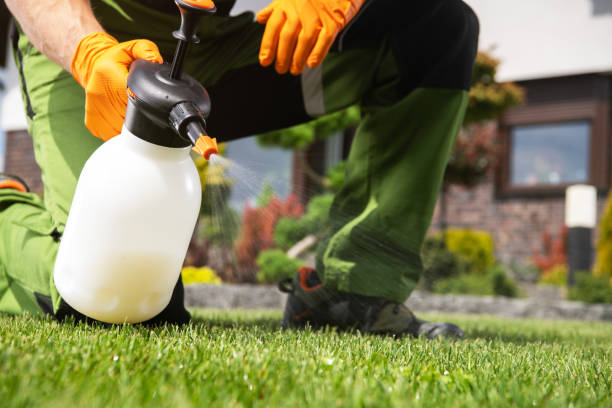 Pest Prevention Services in Traverse City, MI