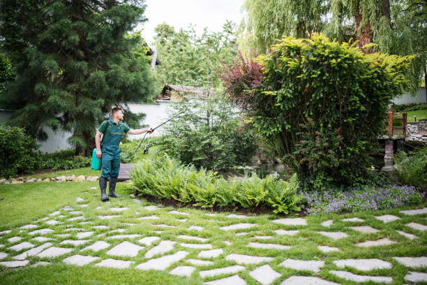 Flea Control Services in Traverse City, MI