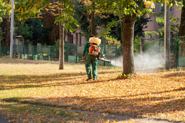 Best Flea Control Services  in Traverse City, MI