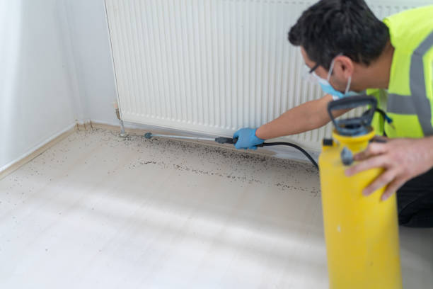 Best Pest Control for Homes  in Traverse City, MI
