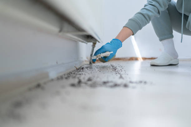 Best Pest Inspection Near Me  in Traverse City, MI