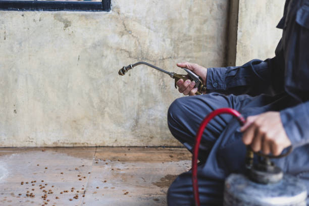 Best Termite Control Services  in Traverse City, MI